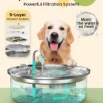 Dog Water Fountain