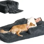 HumanDogBed