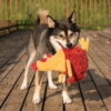 chicken dog toy