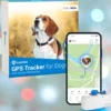 gps dog collar